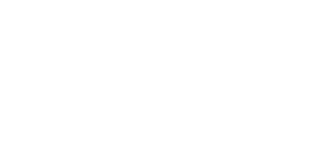 Elevation 11